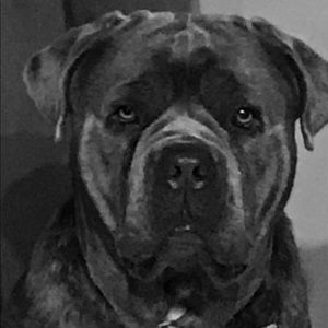 Meet your Posher, Eric